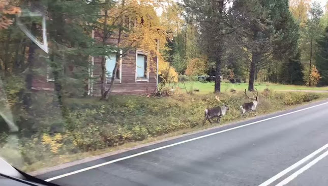 Opinii despre Ravintola KW în Raasepori - Ravintola-ala