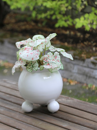 Maariankatu 3b, 20100 Turku