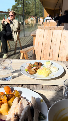 Opinii despre Ravintola Haltia în Espoo - Ravintola-ala