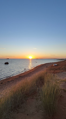 Safaritalo ,Hiekkasärkkien Ohjelmapalvelut Oy - Kalajoki