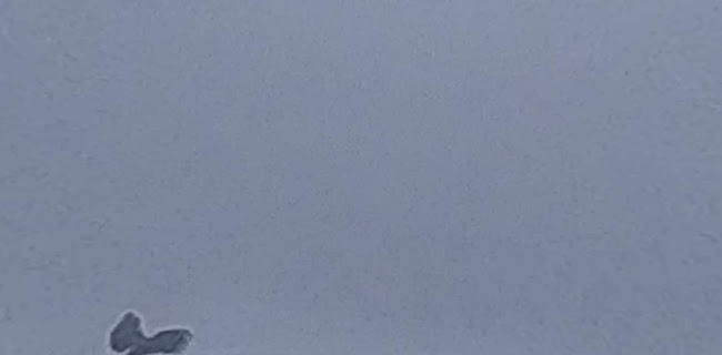 Ravintola Röölänranta