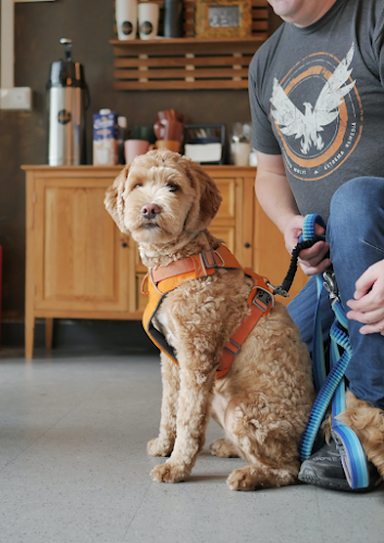 Yesterday Cafe - Ravintola-ala