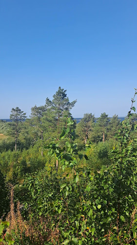 Reviews of Lounasravintola Merenhelmi in II - Ravintola-ala