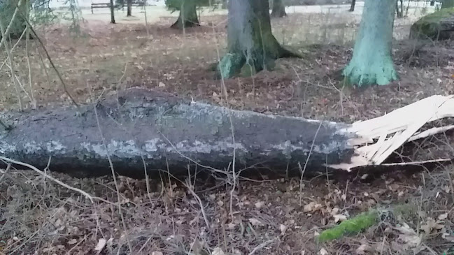 Keuruun tori - Keuruu