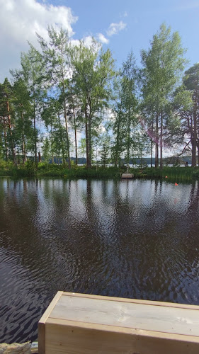 Opinii despre Saarijärven Ruustinna în Saarijärvi - Ravintola-ala