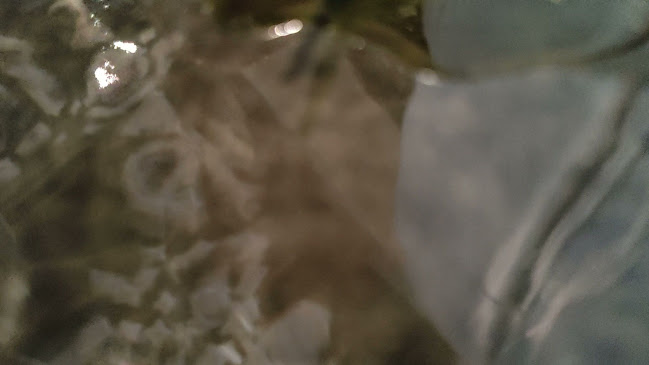 Opinii despre Ravintola Siro în Turku - Ravintola-ala