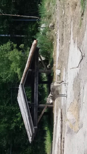 Kaakkolampi Cafe - Ravintola-ala