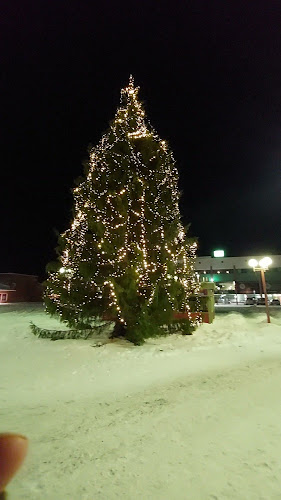 Reviews of Rovaniemen kauppatori in Rovaniemi - Ravintola-ala