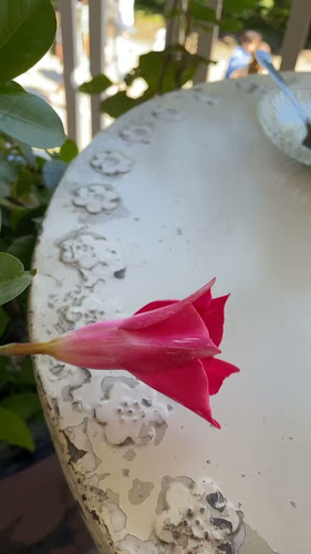 Opinii despre Café Vanille în Helsinki - Ravintola-ala