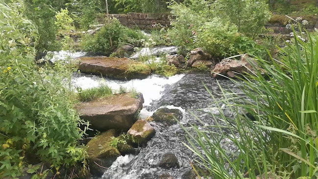 Immilän myllykahvila - Ravintola-ala