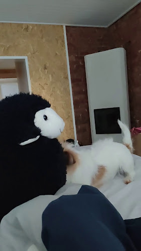 Pizzaline Kaarina - Kaarina