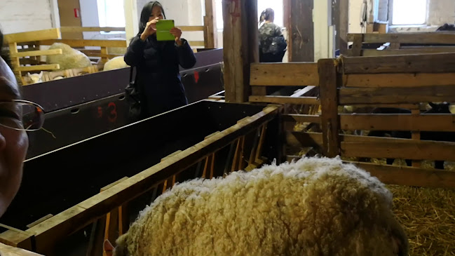 Comentarii opinii despre Ravintola Wanha Pehtoori