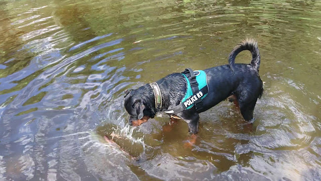 Otamuskahvila - Ravintola-ala