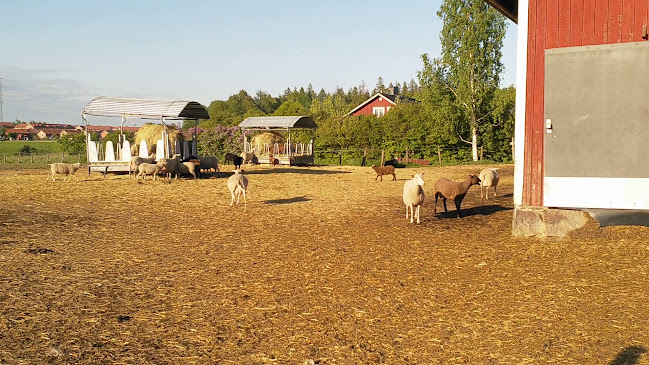 Ravintola Wanha Pehtoori - Ravintola-ala