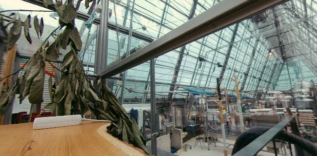 CoolHead Brew / CoolHead Taproom