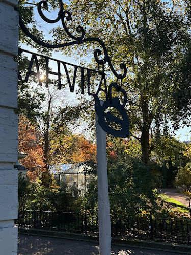 Café Viola - Ravintola-ala