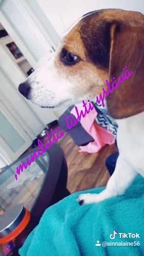 Sitko Pizza Tampere - Ravintola-ala