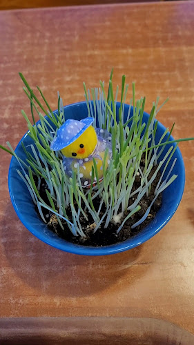 Opinii despre Helmikahvila în Turku - Ravintola-ala