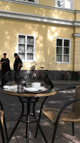 Café Art Open Times