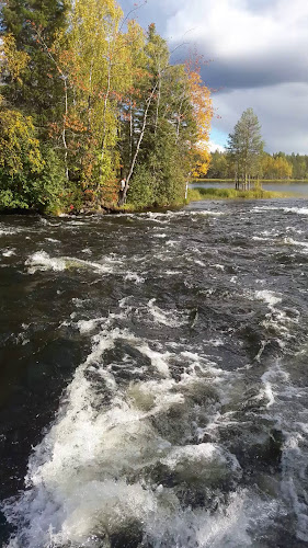 Comentarii opinii despre Leenan Koskitupa