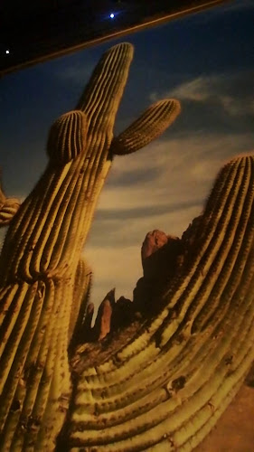 Ravintola Oklahoma - Ravintola-ala