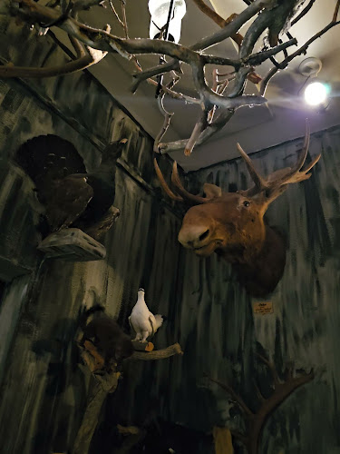 Restaurant Saaga - Ravintola-ala