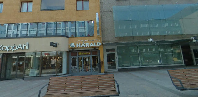 Viikinkiravintola Harald