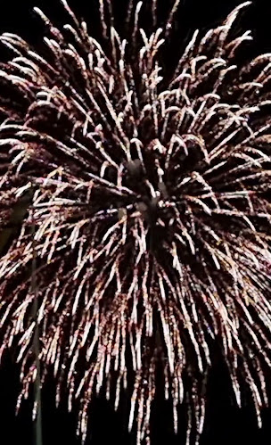 Savonlinnan kauppatori - Savonlinna