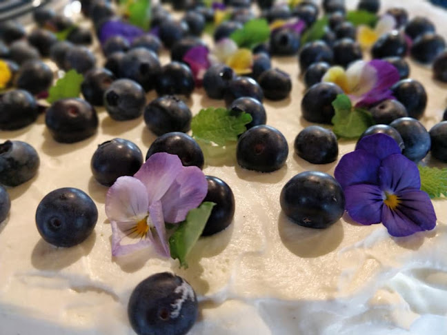 Comentarii opinii despre Hiljaisen Kansan Niittykahvila