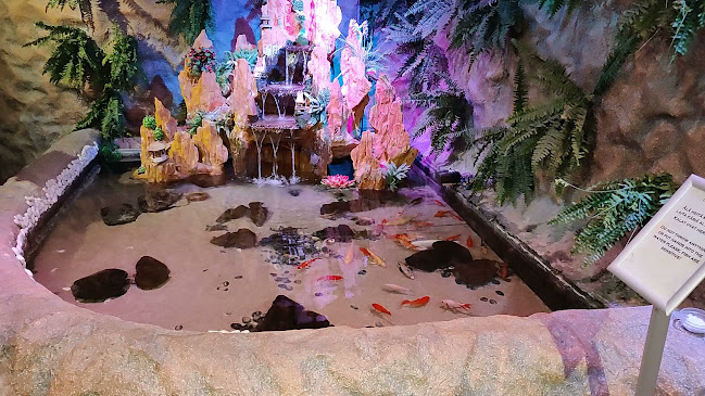 Ravintola Caverna - Helsinki