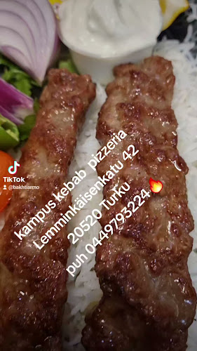 Kermanshah Restaurant - Turku