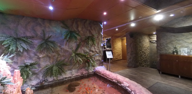 Ravintola Caverna - Helsinki