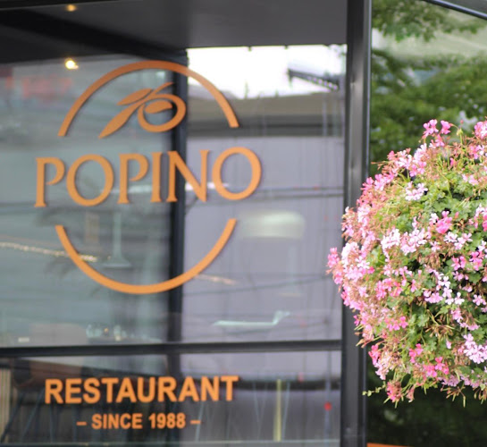 Comentarii opinii despre Popino