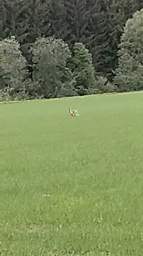 Comentarii opinii despre McDonald's Helsinki Pukinmäki