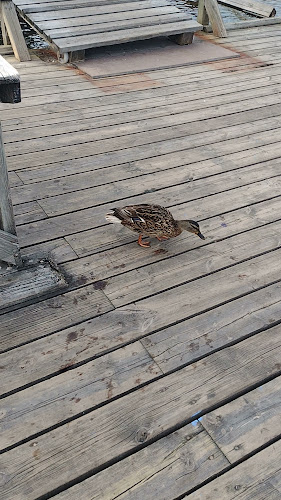 Terazzi, Sörnäistenranta - Helsinki