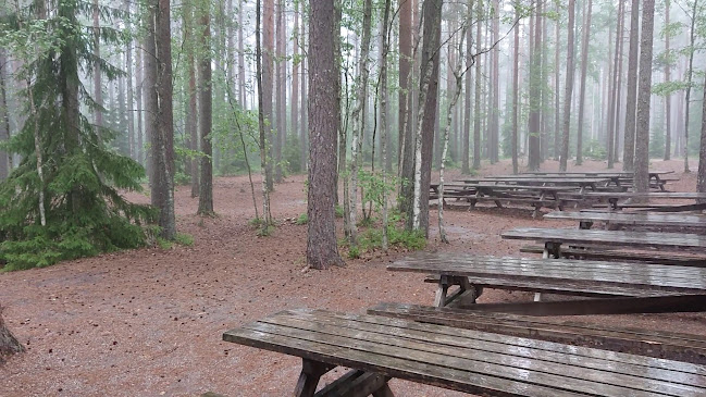 Comentarii opinii despre Kyläravintola Terho