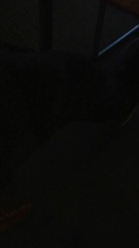 Opinii despre Roja în Kokkola - Ravintola-ala