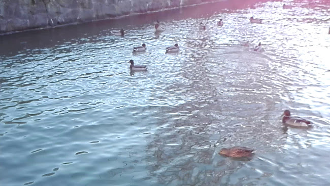 Comentarii opinii despre Naantalin Kaivohuone