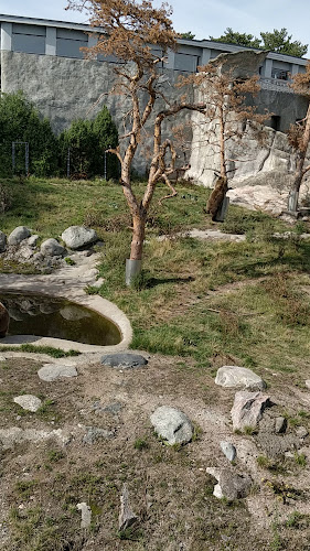 Opinii despre Ravintola Karhu în Helsinki - Ravintola-ala