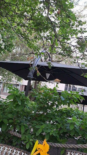 Reviews of Harmooni in Jyväskylä - Ravintola-ala