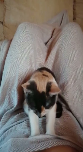 Kuopion Tori - Ravintola-ala