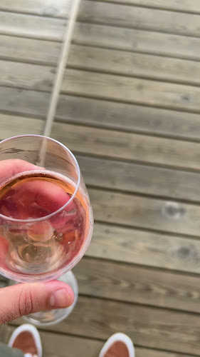 Comentarii opinii despre Sataman Viilu