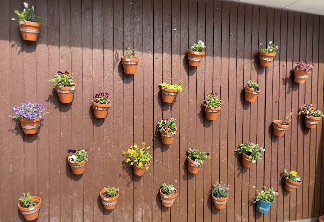 Ravintola Tapiola Pizza