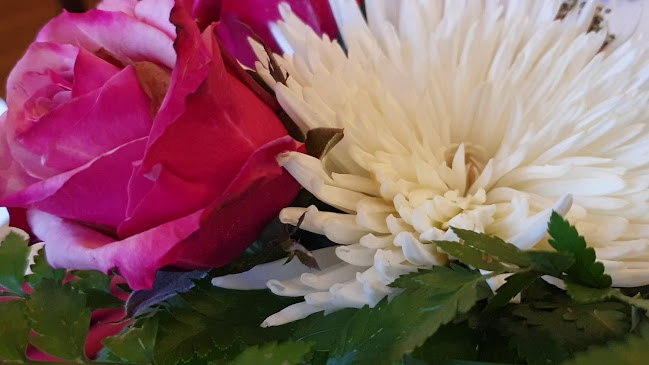 Comentarii opinii despre Lahden Upseerikerho