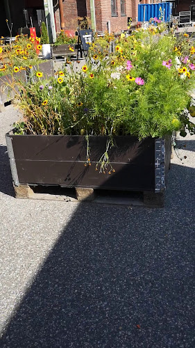 Opinii despre Pizzala în Helsinki - Ravintola-ala