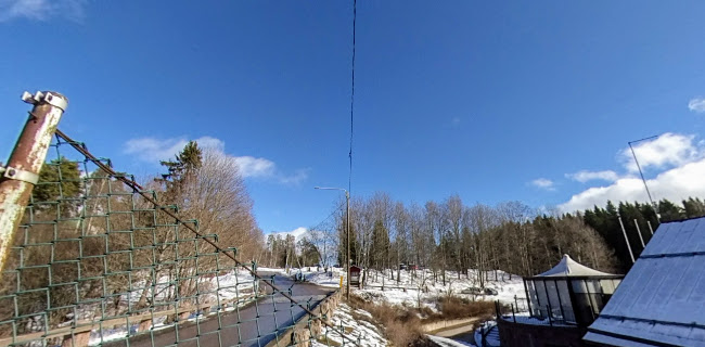 Ravintola Kuninkaan Lohet - Vanha Viilatehdas - Ravintola-ala