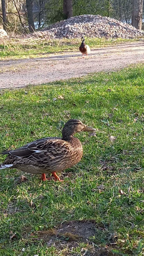 Vihavuodentie 335, 14930 Hämeenlinna