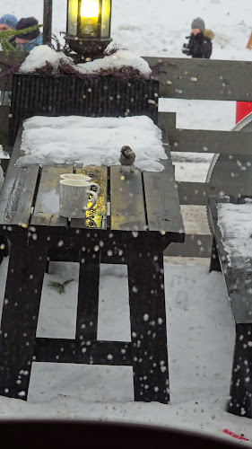 Tähtikuja, 96930 Rovaniemi