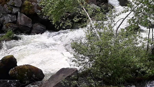 Comentarii opinii despre Immilän myllykahvila