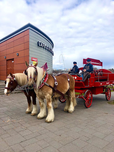 Comentarii opinii despre Cafe & Bistro Hiezu